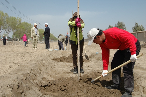公司組織員工開(kāi)展植樹(shù)活動(dòng)